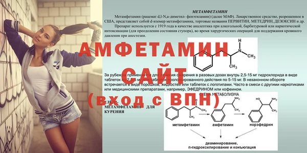 сатива Алексеевка