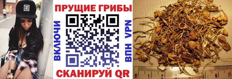 Галлюциногенные грибы Cubensis  ссылка на мегу ссылка  Муравленко 