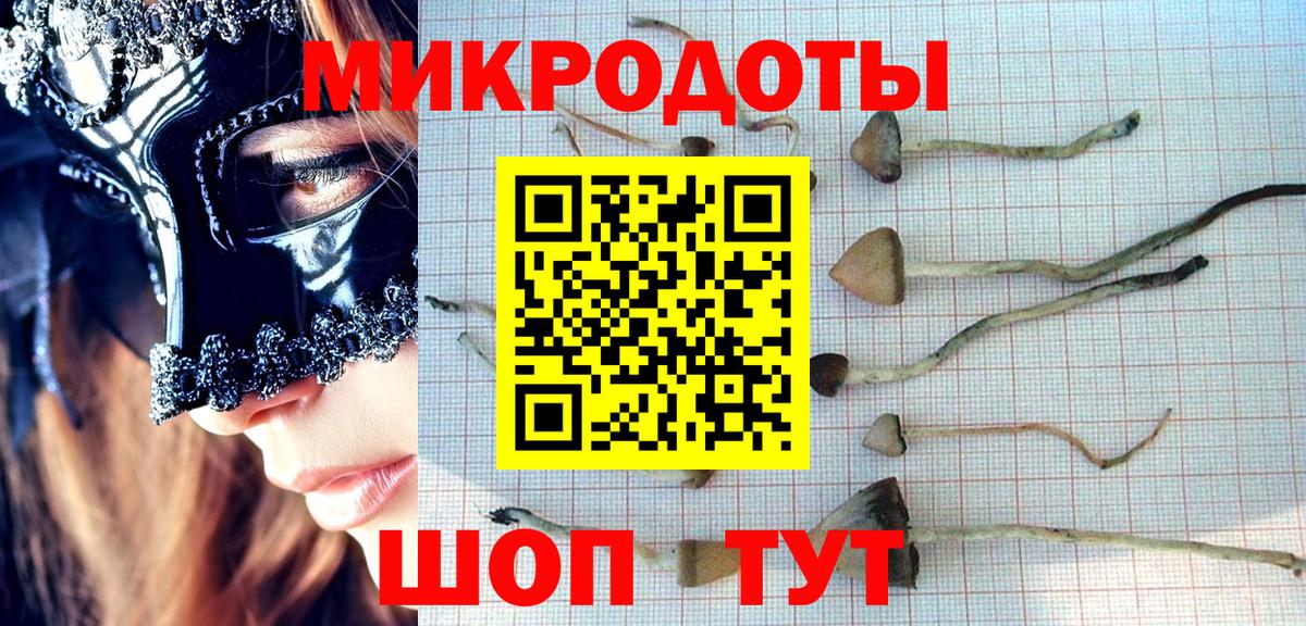 Галлюциногенные грибы мухоморы  Вход с VPN  Муравленко 